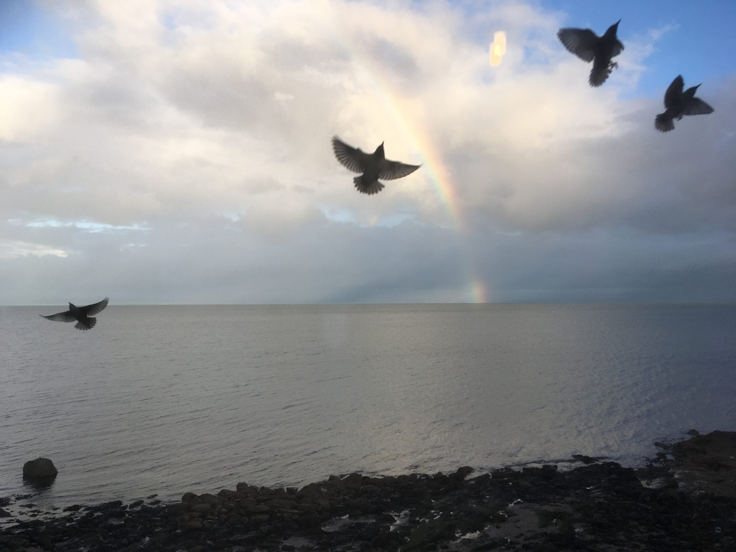 A Rainbow over the Firth of Forth